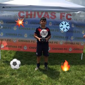 Meet your Posher, Hector